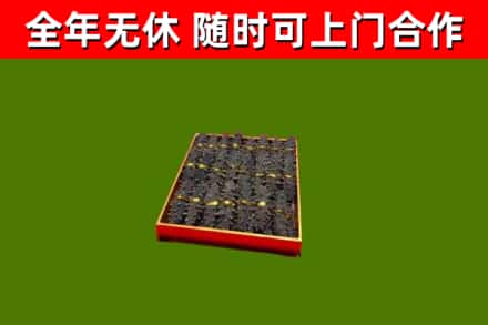 建昌回收海参